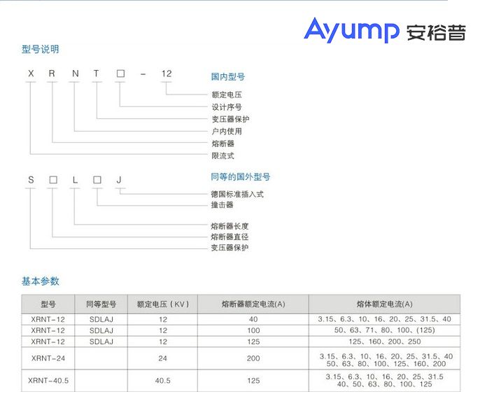 XRNT口-12高壓熔斷器 (2)